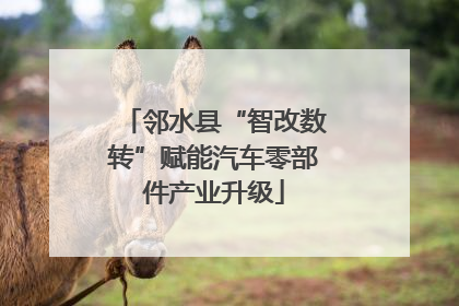 邻水县“智改数转”赋能汽车零部件产业升级